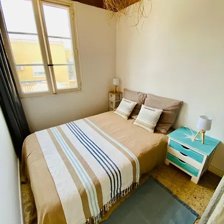 T3 Vue 100m Jardin Tatil Evi
