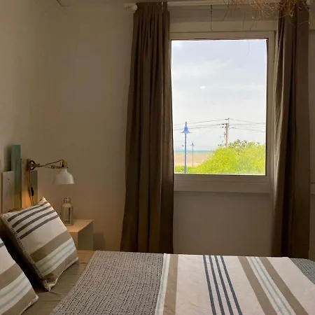T3 Vue 100m Jardin Tatil Evi Hyères