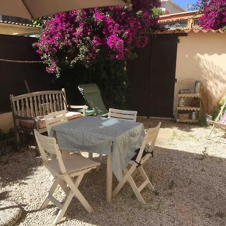 T3 Vue 100m Jardin Tatil Evi